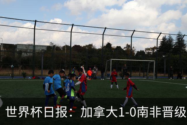 世界杯日报：加拿大1-0南非晋级创历史 韩国主帅洪明甫下课