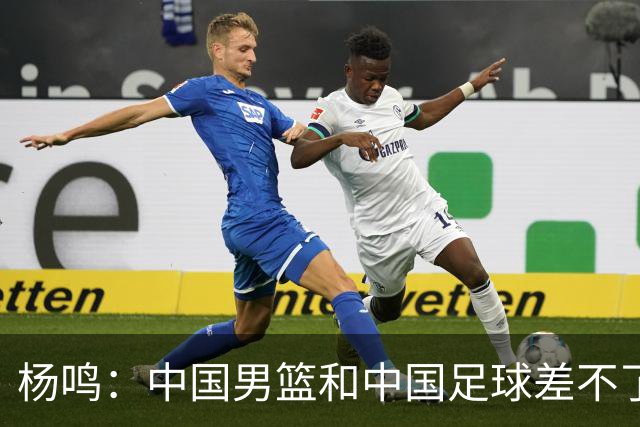 杨鸣：中国男篮和中国足球差不了太多，没有气场，失去了绝对优势